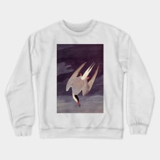 Arctic Tern Crewneck Sweatshirt